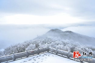 澳大利亚罕见下雪，雪景美如画！